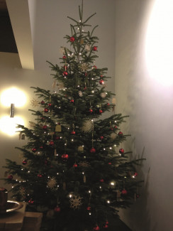 Weihnachten 2016 in der Friedenskirche